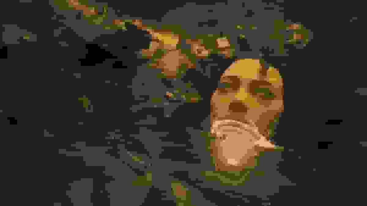 برندگان و اعلامهای جدید در مراسم جایزه بازیهای ویدیویی ۲۰۲۵