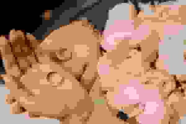 فعالیت دفاتر ثبت ازدواج تا ساعت ۱۹ روز شنبه