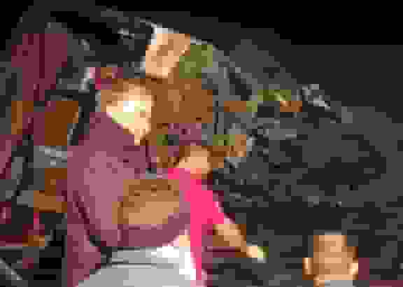 علت حادثه واژگونی اتوبوس در محور تهران-مشهد اعلام شد