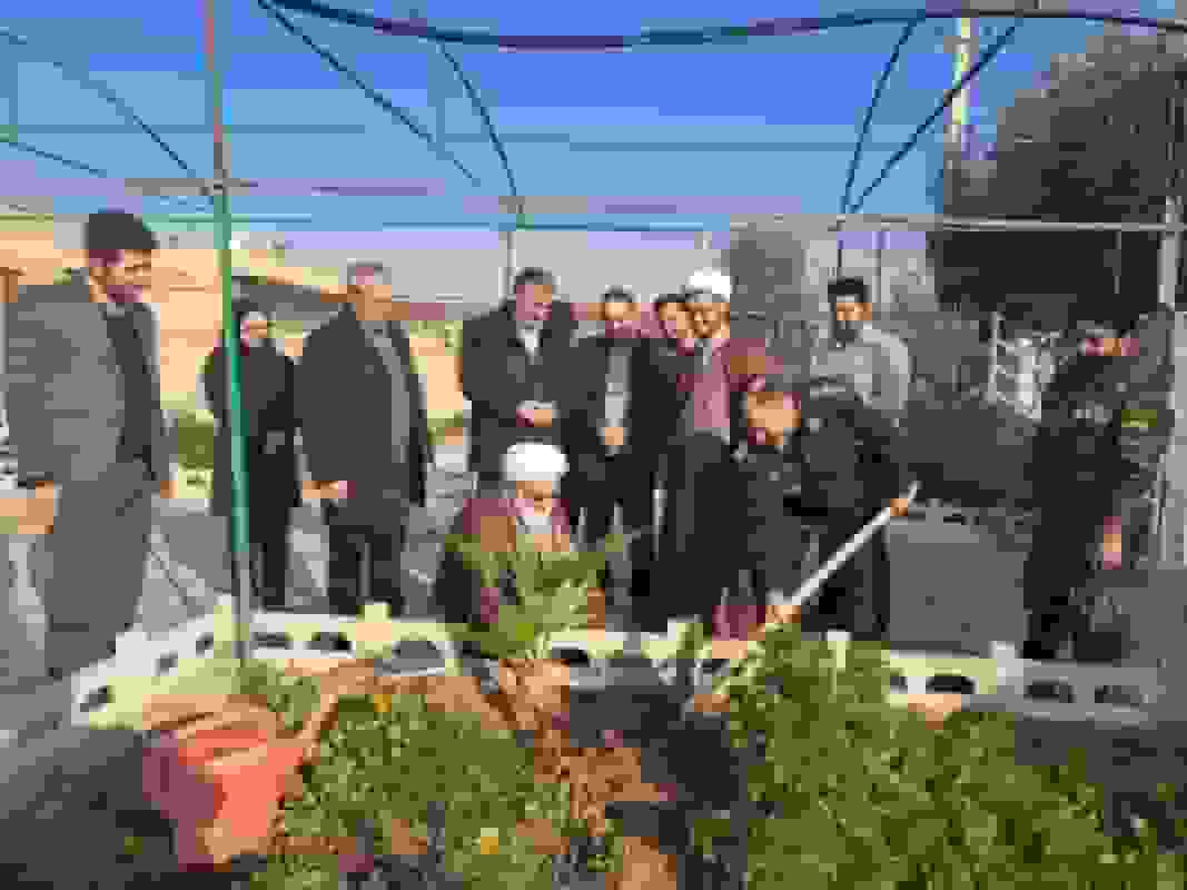 ادامه طرح ملی مردمی کاشت یک میلیارد درخت در استان سمنان