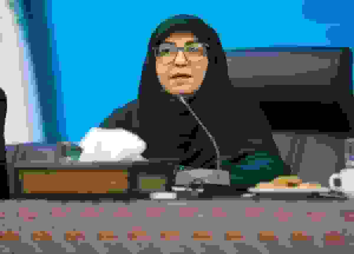 معاون رئیسجمهور: بارگذاریهای صنعتی نیازمند ارزیابیهای زیستمحیطی دقیق