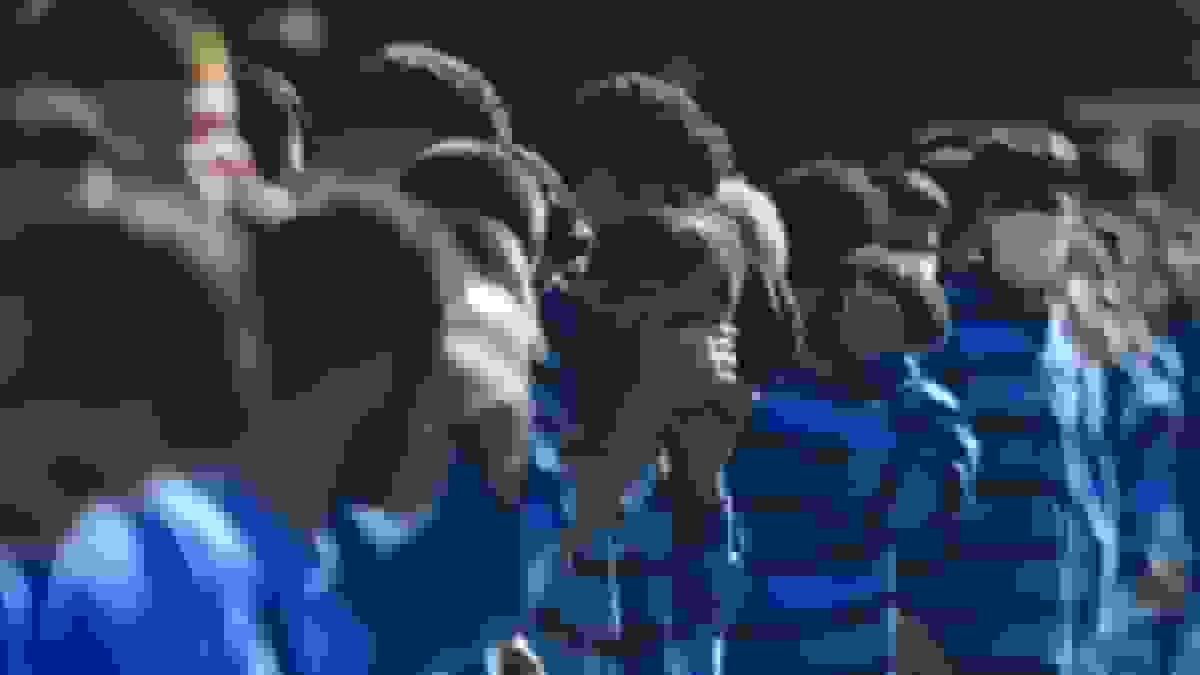 دستگیری ۳۲۰ مالخر در طرح دو روزه سراسری پلیس آگاهی