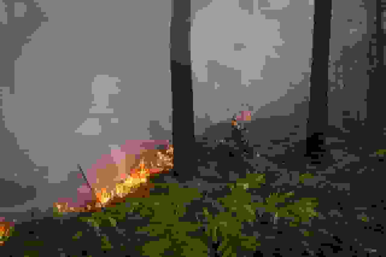 آخر هفته گرم در گلستان؛ احتمال حریق مراتع و جنگلها