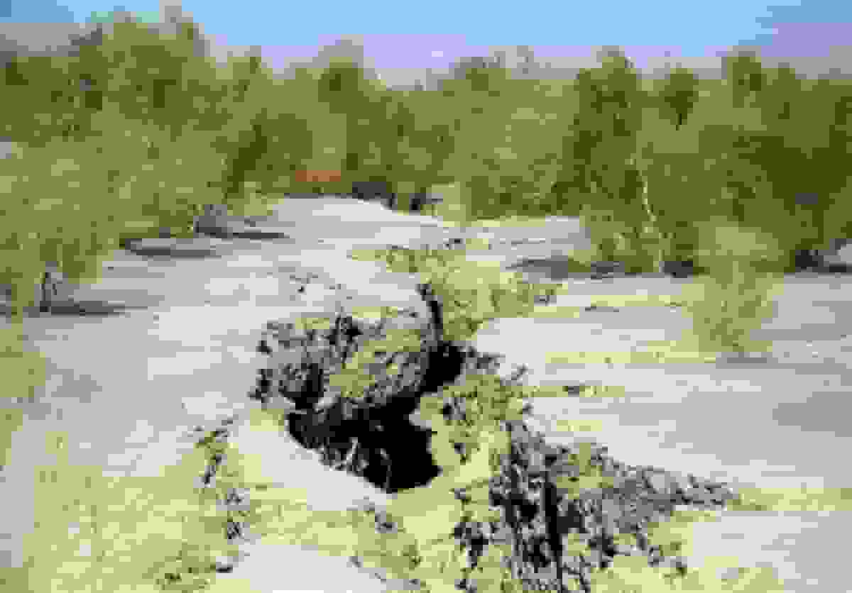 خشکسالی در چهارمحال و بختیاری؛ بحران چندوجهی در قلب منابع آبی کشور