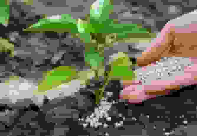 توزیع بیش از ۵ هزار تن کود اوره بین کشاورزان کهگیلویه و بویراحمد در نیمه نخست سال