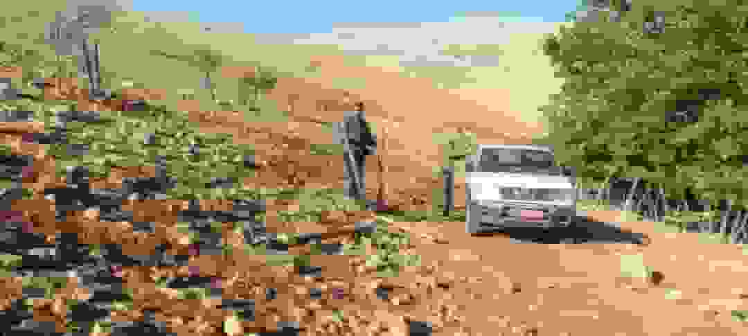 رفع تصرف ۱۱ هکتار از اراضی ملی در بخش کبگیان بویراحمد