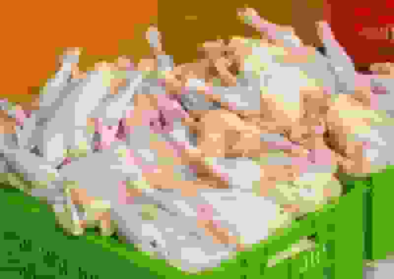 ممنوعیت خروج بیضابطه مرغ از استان گلستان