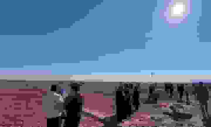 برگزاری تورهای گردشگری زعفران در تربت حیدریه