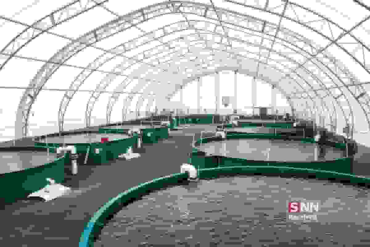 پایداری ذخایر ژنتیکی و اکوسیستمهای دریایی با هوش مصنوعی