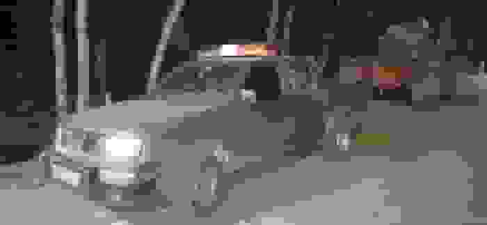 قاچاقچیان چوب سه مأمور منابع طبیعی نور را با شلیک گلوله زخمی کردند