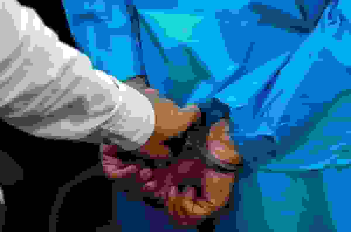 ۶ هزار گزارش مردمی به حفاظت و اطلاعات دادگستری گلستان واصل شد