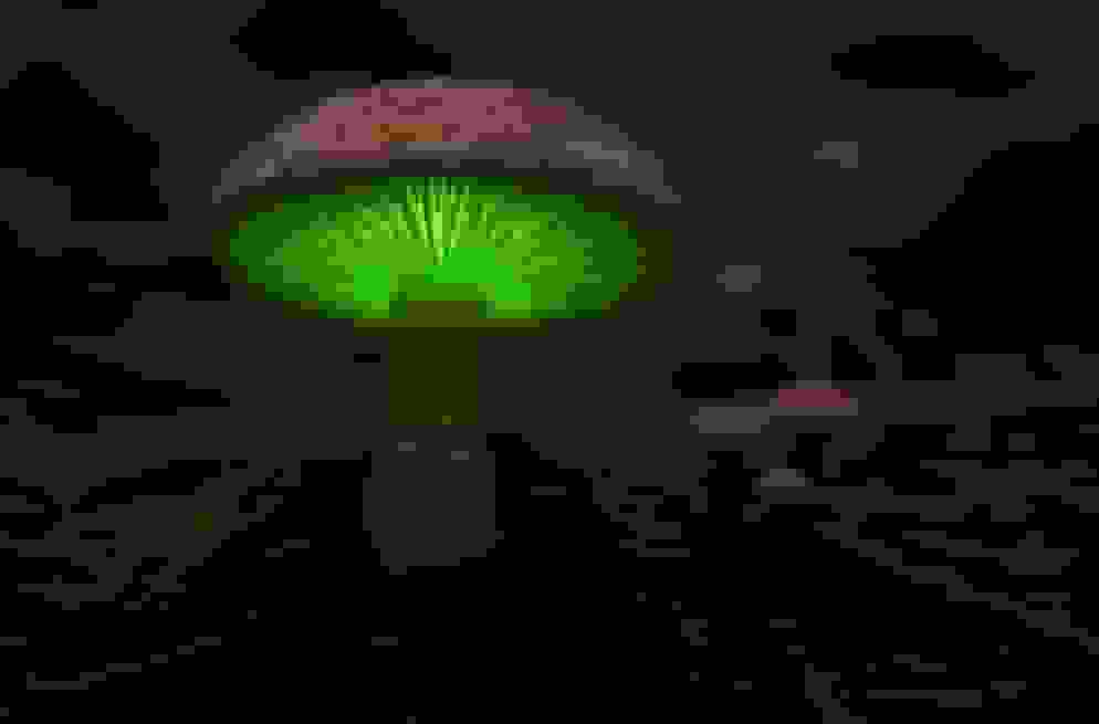 کشف قارچ بیولوژیک عجیب با قابلیت تولید برق در آمازون