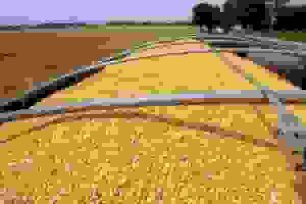 هشدار سازمان بازرسی به متخلفان نهادههای دامی