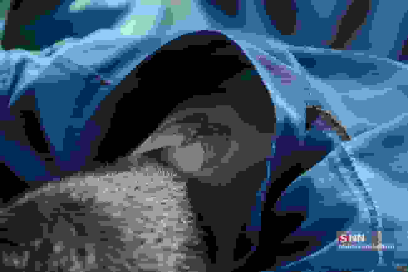 دستگیری زورگیر مسلح در میدان محمدیه تهران