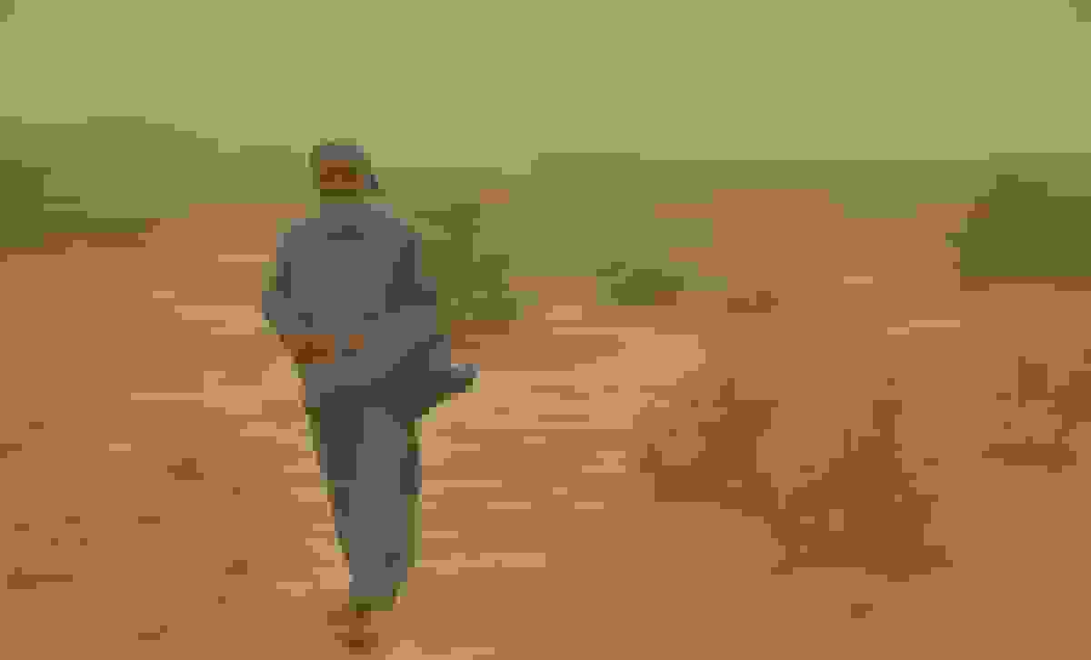 تعطیلی غیرحضوری مدارس سیستان فردا به دلیل طوفان گرد و خاک