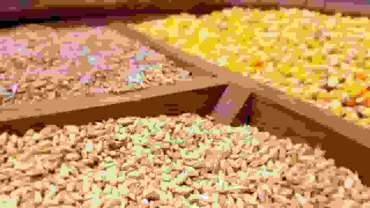 سامانه تأمین نهاده دامی: از نجاتبخش تا گلوگاه فساد