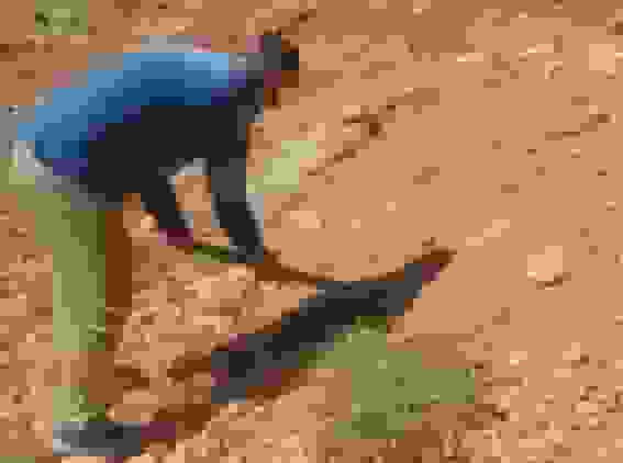 محکومیت سبز برای تخریبکنندگان طبیعت در یاسوج