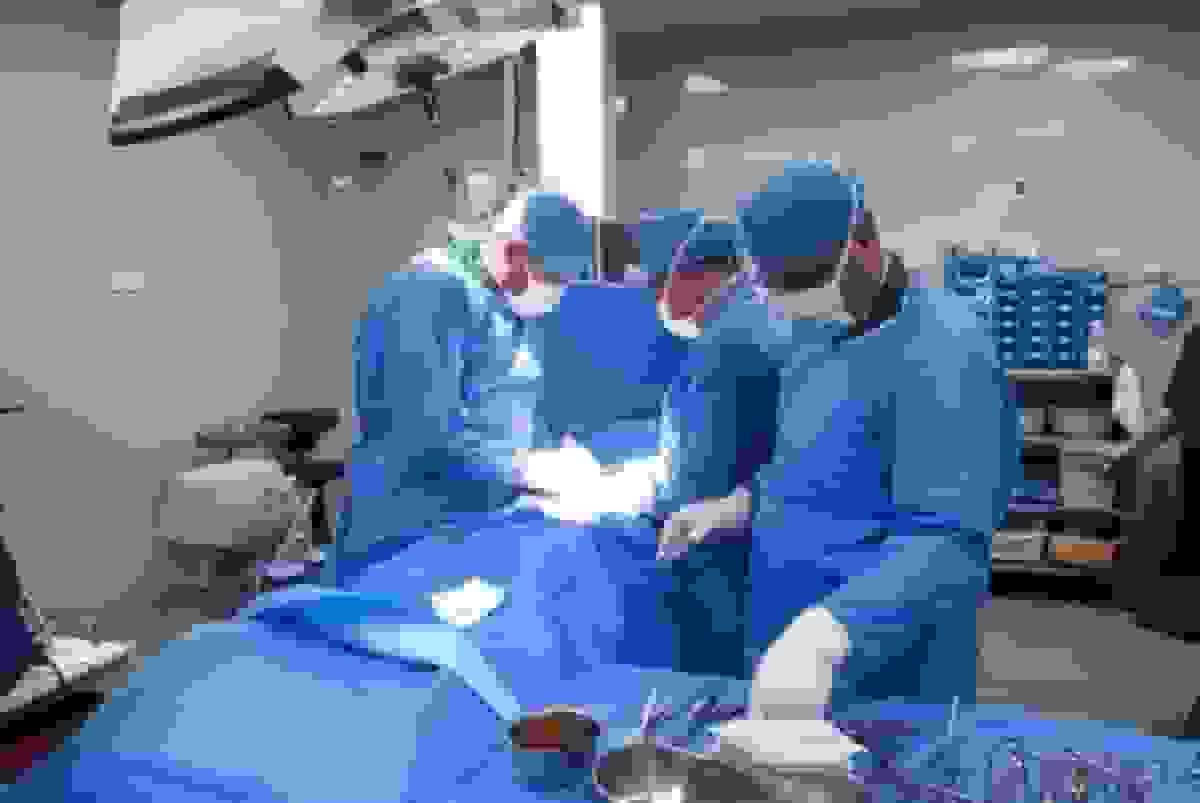 تعداد عملهای اهدای عضو در چهارمحال و بختیاری به ۱۹ رسید