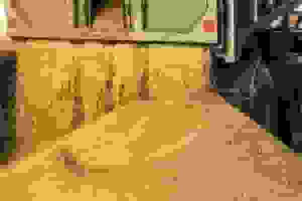 کشف ۱۳ هزار تن نهاده دامی احتکارشده در تهران