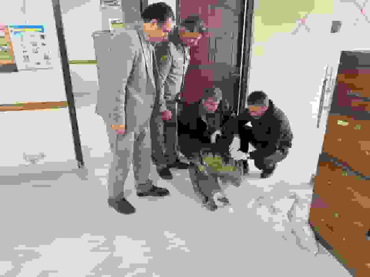 کرکس مصدوم پس از درمان در ارتفاعات حیران رهاسازی شد