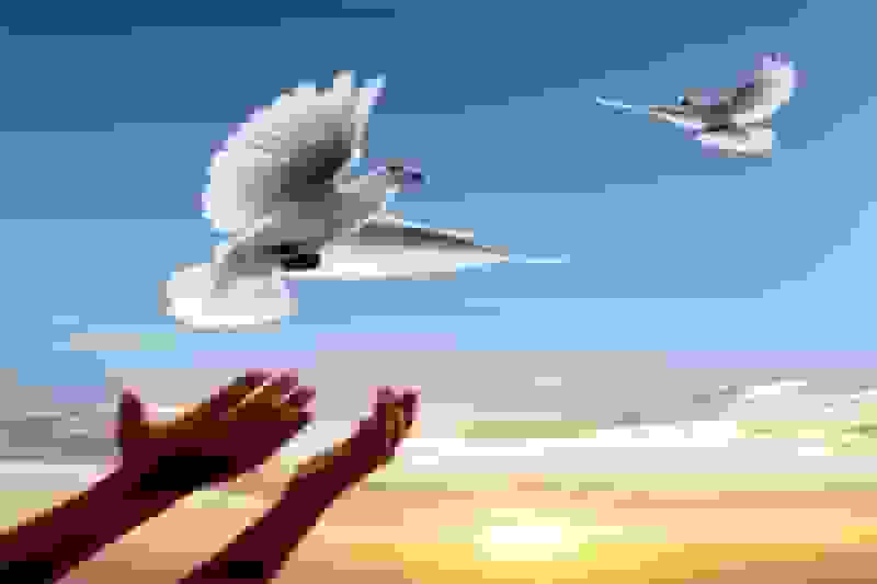 آزادی ۴ زندانی در چهارمحال و بختیاری با کمک ۱۷۰ میلیون تومانی خیران