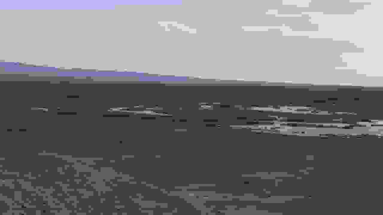 حاجیزاده: اهمیت حقابه رودخانه شور قم برای حفظ تالابها