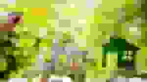 رقابت جهانی برای جوانسازی جمعیت: علل گرایش کشورها به سیاستهای تشویق فرزندآوری