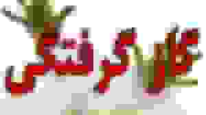 گاز گرفتگی هشت نفر در روستای خرّق مشهد