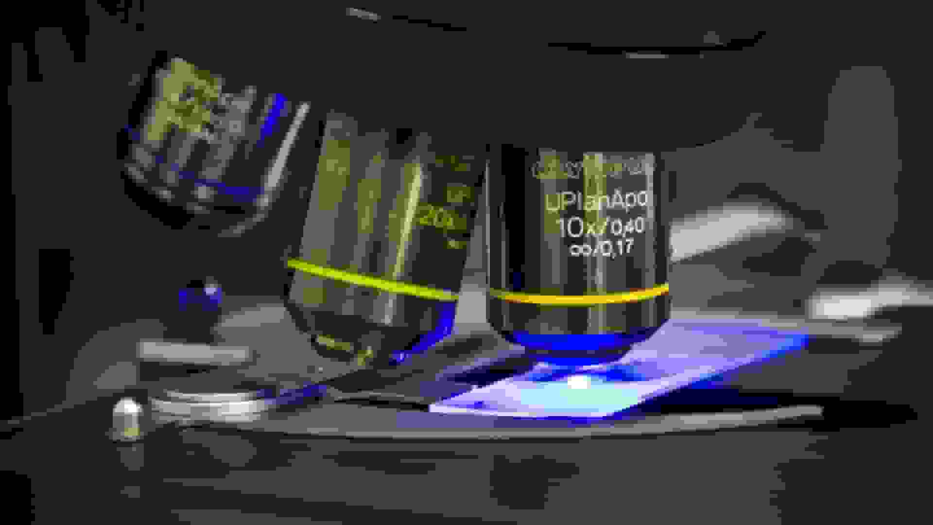 میکروسکوپ دو نوری با برد ۱۴ برابری برای ثبت جزئیات نانو و حرکت سلولی