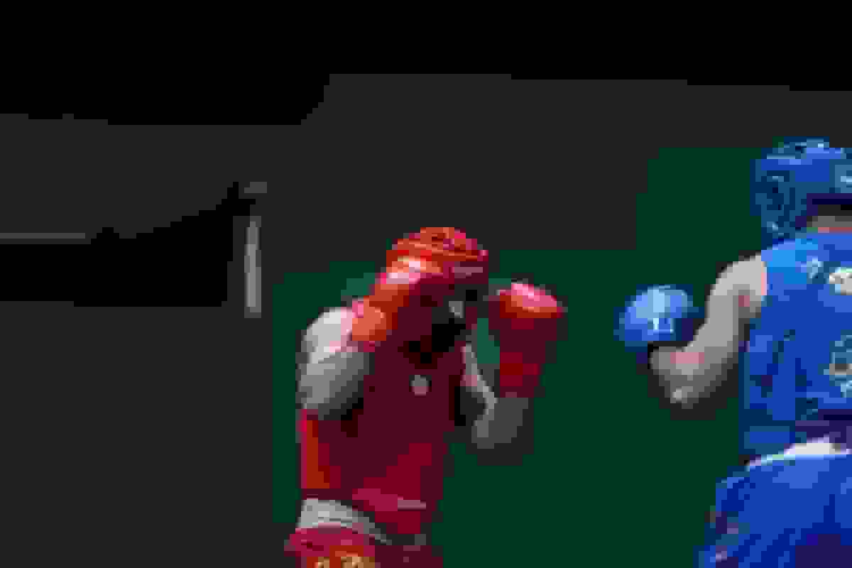 پایان کار نمایندگان ووشو ایران با شاهکار فربد تالشی