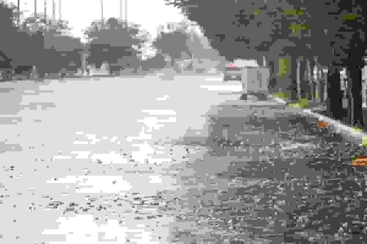 تداوم بارش و وزش باد در ۱۸ استان؛ پیشبینی گرد و خاک در نوار شرقی