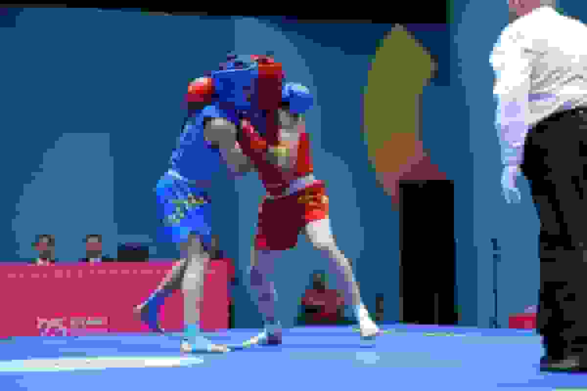 راهیابی فربد طالشی به فینال ووشو