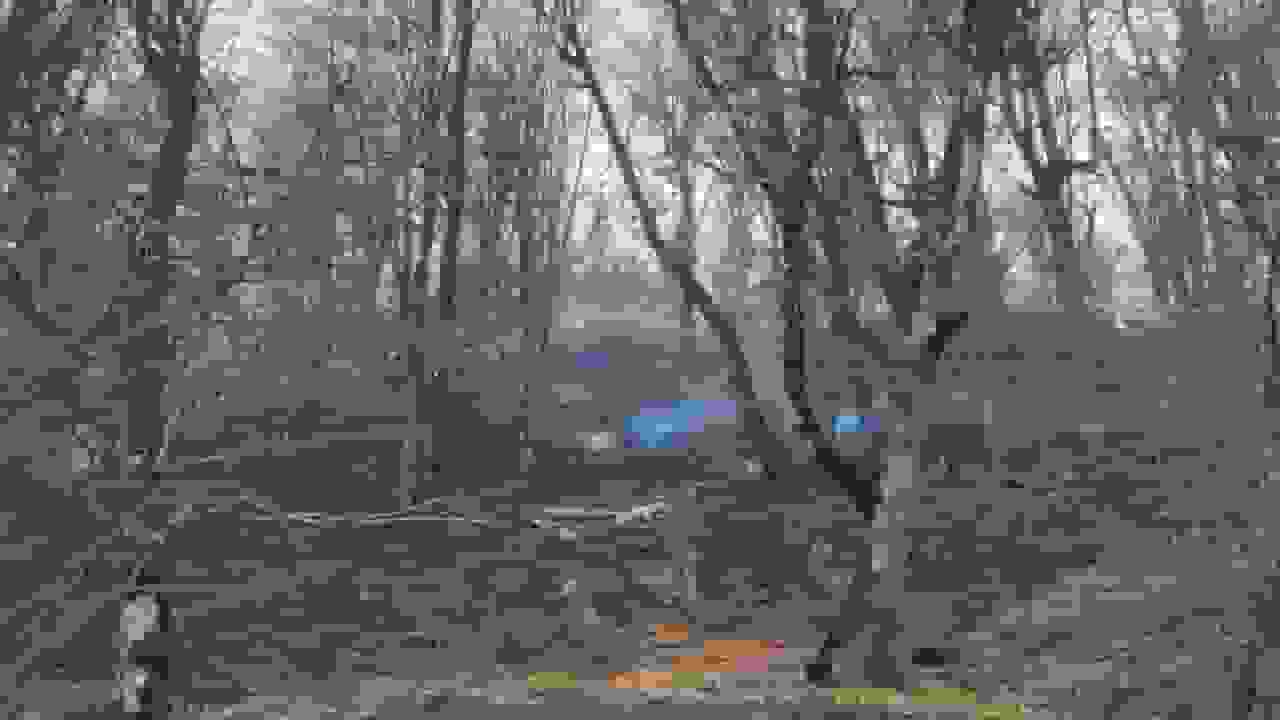 اعزام نیروی تازهنفس برای مهار حریق جنگلهای شرق گلستان