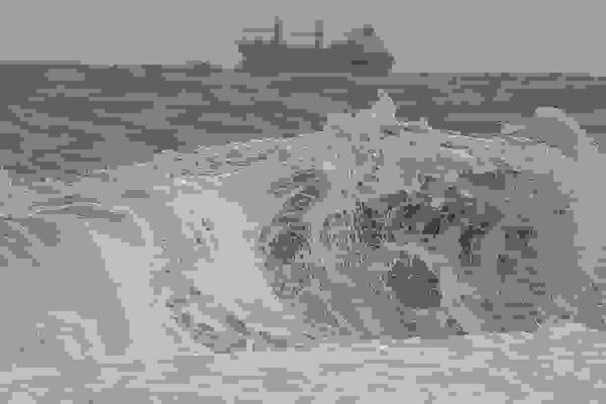 افزایش ارتفاع موج و وزش باد در شمال و جنوب کشور