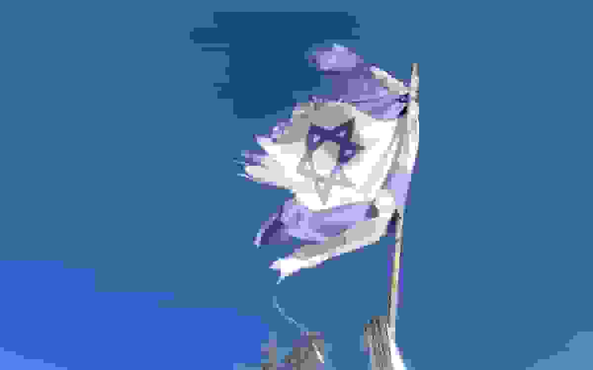 اعتراف رسانه صهیونیستی به فلج سیستم درمانی جنوب اسرائیل پس از حمله موشکی ایران