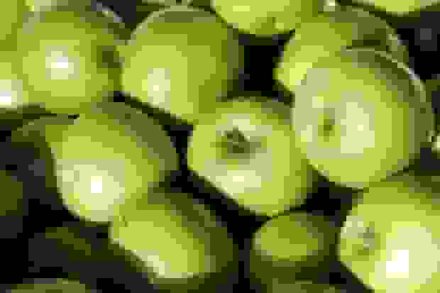 صادرات ۱۵۰۰ تن سیب از خراسان شمالی به عراق