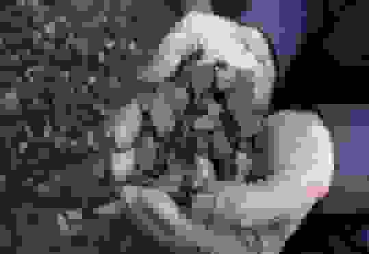 کشف ۱۲۰ کیلوگرم زغال قاچاق و ۲ کوره فلزی در لوداب