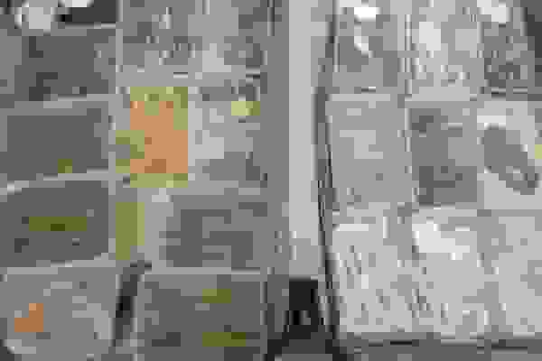 کشف ۱۳ گونه غیرمجاز حیات وحش در آکواریومفروشی تهران