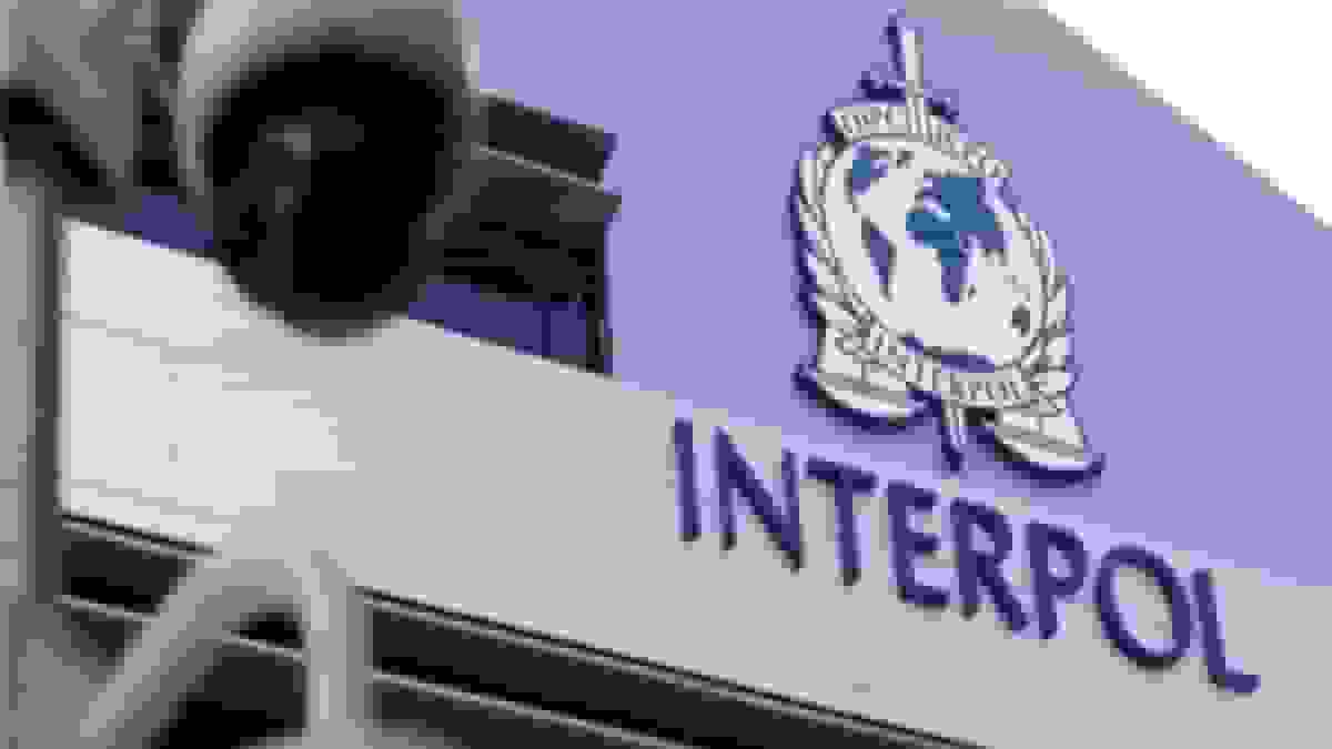 استرداد متهم کلاهبرداری رمز ارز به کشور