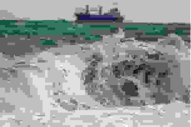 هشدار هواشناسی بوشهر: سواحل استان تا سهشنبه متلاطم است