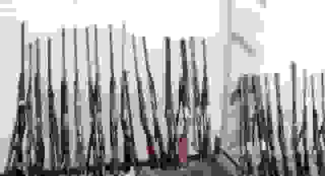 یکسوم مکشوفات سلاح اداره محیط زیست در گلستان قاچاق است