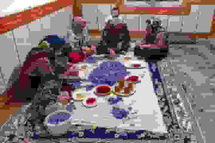 ۱۲۵۰ هکتار زعفران در گلستان کشت شد