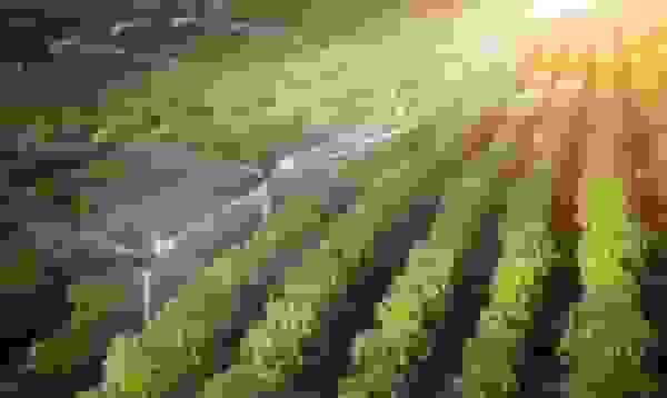 ایران رتبه دوم جهان در توسعه علوم آبیاری و زهکشی