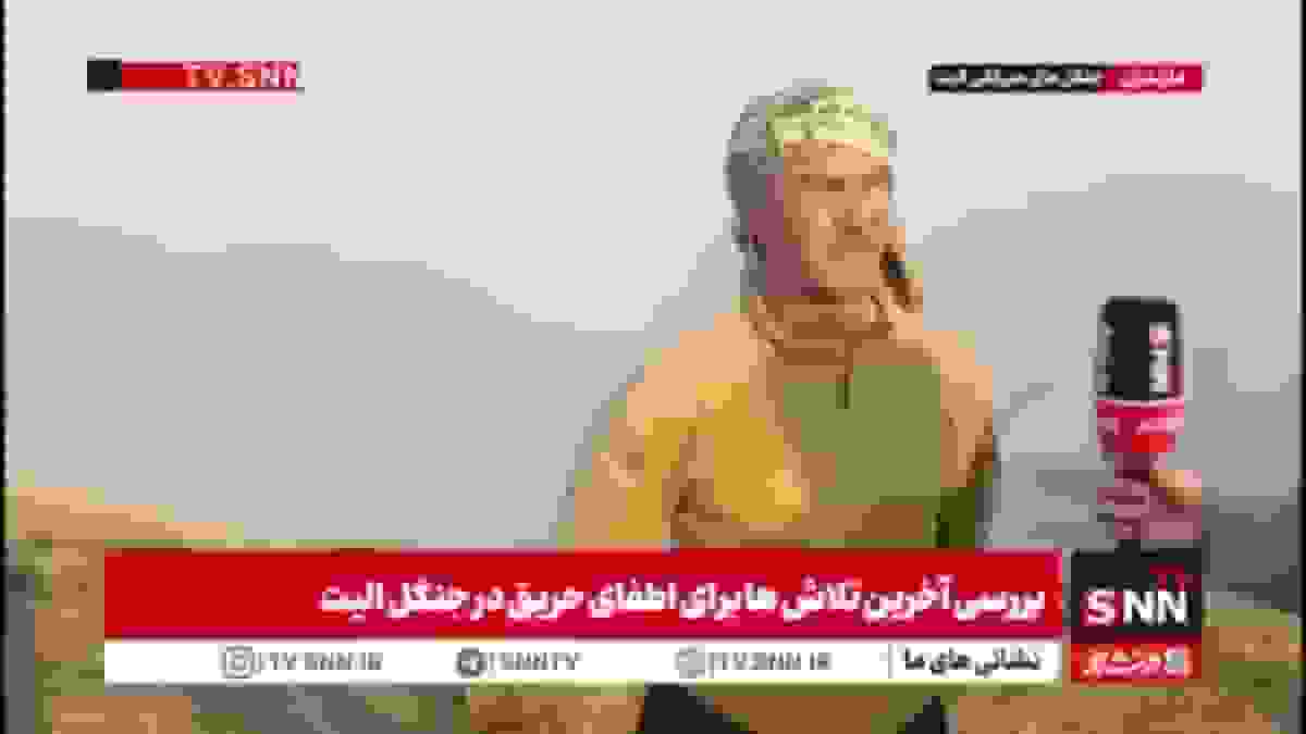 داوطلب کلاردشتی: آتش جنگلهای الیت بسیار پرقدرت است و تنها نیروهای مردمی حرفهای میتوانند کمک کنند