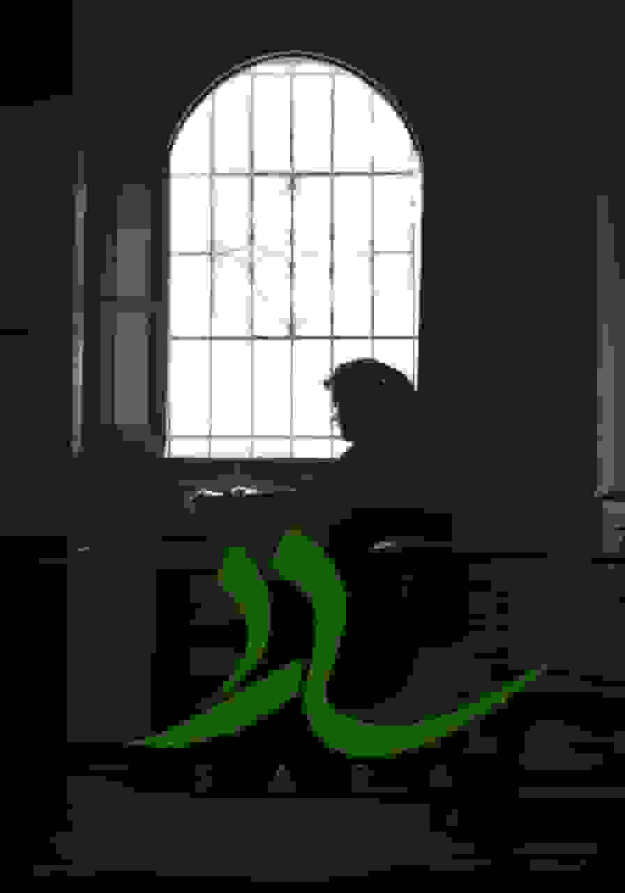 «سارا» روی آنتن میرود / روایت سفری از دل تاریکی به روشنایی