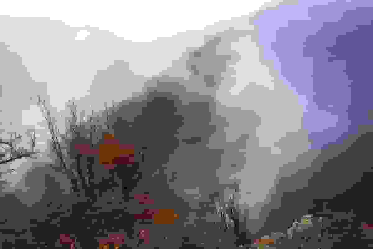 حریق در جنگلهای الیت مازندران مهار شد