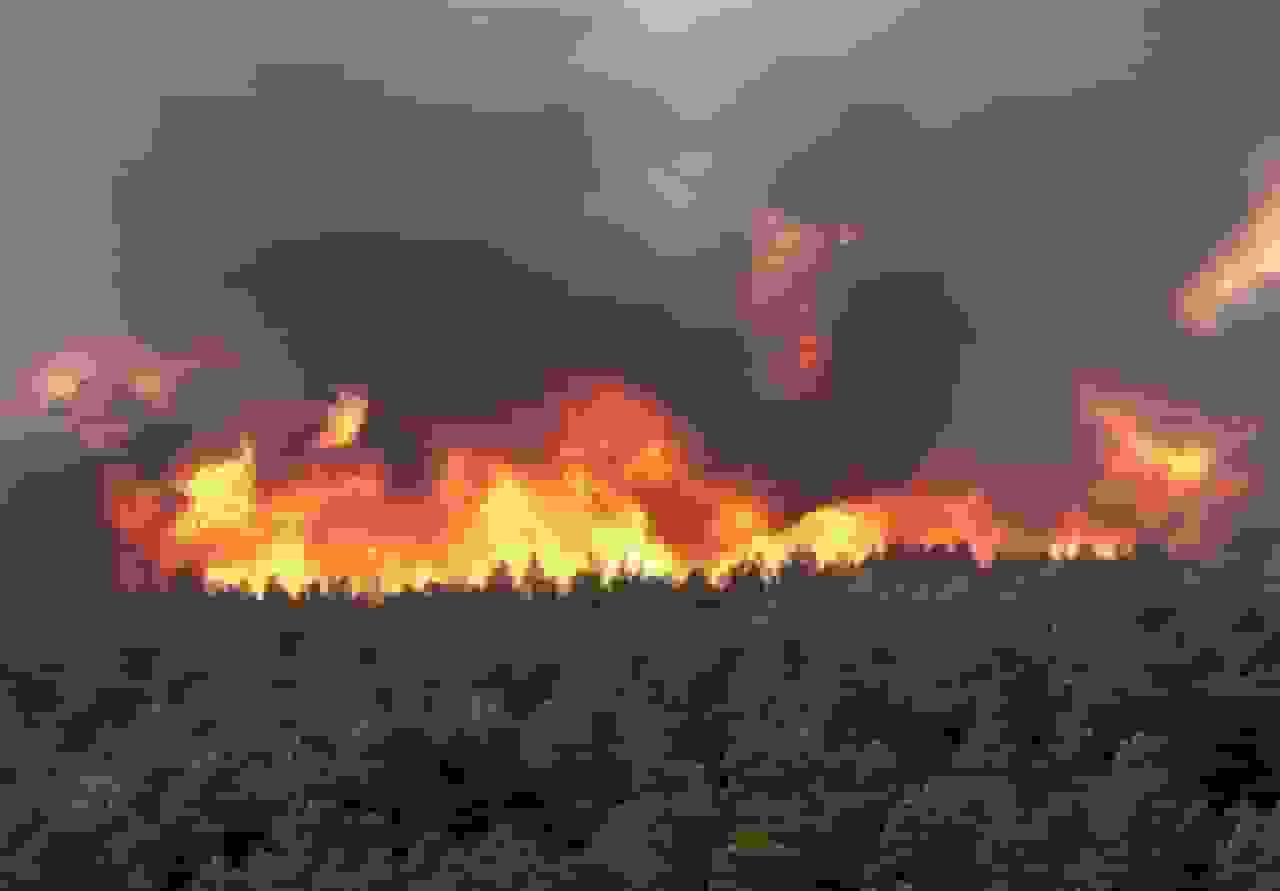 هشدار درباره ایجاد آتش در جنگلها و مراتع استان گیلان