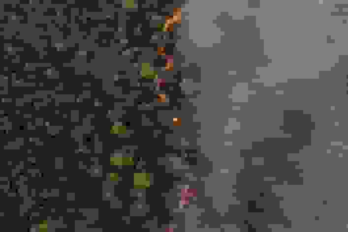 آتشسوزی در باغبهادران اصفهان مهار شد