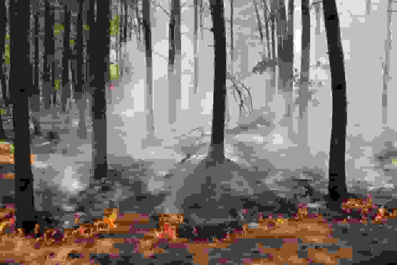 ۴۸ ساعت گذشته ۱۲ منطقه جنگلی گلستان گرفتار حریق شد