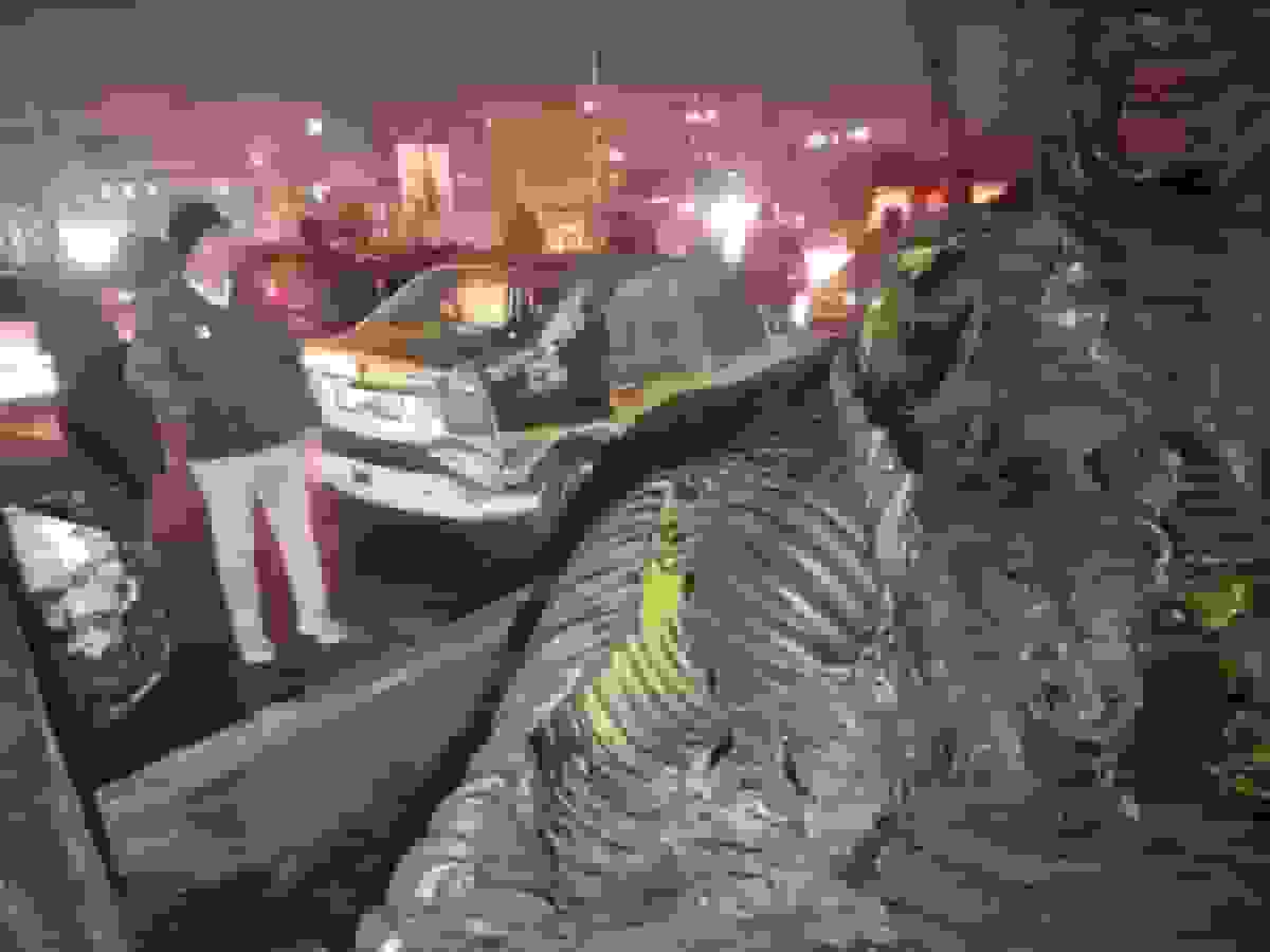 آتشسوزی لولههای پلیاتیلن و چهار خودرو در تهران؛ یک آتشنشان مصدوم شد